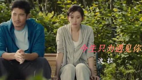 今生只为遇见你,邂逅你我，此生无憾