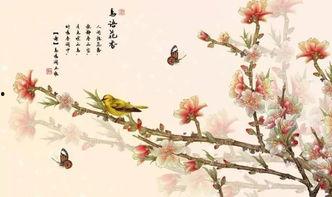 暮年又逢春,岁月沉淀的人生新篇章